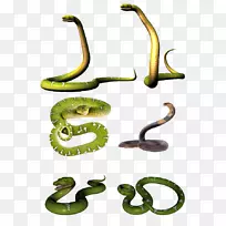 曼巴斯毒蛇眼镜蛇夹艺术蛇
