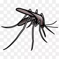 蚊虫网页浏览剪贴画-蚊子