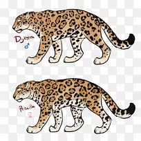 豹，美洲豹，西豹，猎豹，野猫，豹