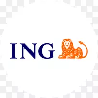 ING集团零售银行业务金融-银行