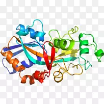 定制肽合成氨基酸植物肽激素肺炎链球菌