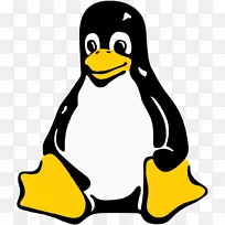 微软windows e linux操作系统-linux