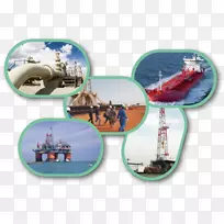 石油地质、油藏工程、石油工业人工举升巴基斯坦油气公司