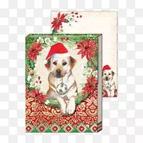 犬种，比格犬，拉布拉多猎犬，圣诞饰品-小狗