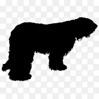 微型雪纳瑞犬纽芬兰犬小狗品种-小狗