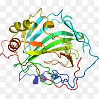 单色分子生物学剪贴画.碳酸氢酶