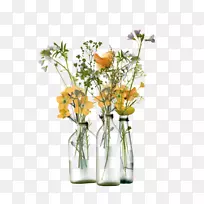 花卉设计花瓶玻璃花瓶
