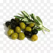 阿尔贝奎纳橄榄油地中海盆地果树