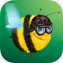 蜜蜂眼镜-蜜蜂
