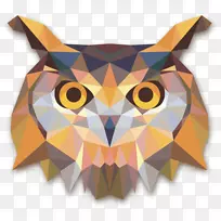 OWL几何三角形多边形鸟