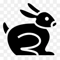 欧洲兔子电脑图标剪贴画-兔子