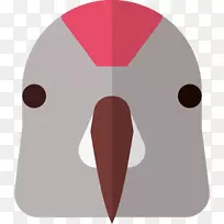 鸟类野生动物-鸟类