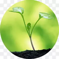 水土种子粘土植物-氧气工程