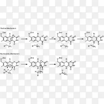 黄素腺嘌呤二核苷酸Flavin组黄蛋白氧化还原单胺氧化酶