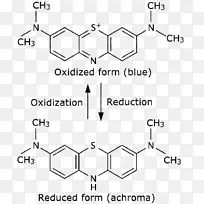 亚甲基蓝浅蓝瓶实验氧化还原透镜-光