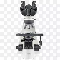 光学显微镜光学物镜偏光显微镜光学显微镜