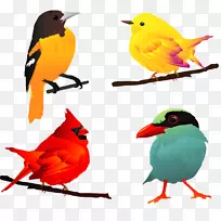 鸟类欧洲知更鸟剪贴画-鸟
