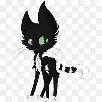 黑猫小猫胡须家养短毛猫