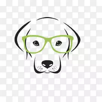 犬种拉布拉多猎犬眼镜-小狗