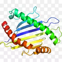 功能体珠宝剪贴画的α链序列域-β2微球蛋白