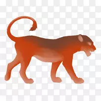狮子狗猫红狮