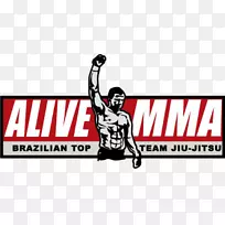 活生生的MMA混合武术巴西九