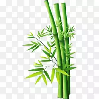 热带木本竹子剪贴画-竹子19 0 1