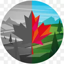 加拿大枫树IQ德勤讨论150周年-加拿大