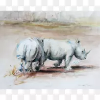 犀牛水彩画陆生动物绘画