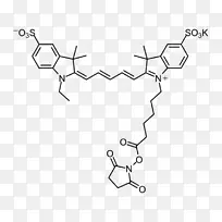 氰基马来酰亚胺n-羟基琥珀酰亚胺羧酸羧基荧光素二乙酸琥珀酰酯