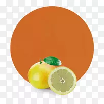 金门葡萄柚，橘子-葡萄柚