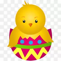 复活节兔子彩蛋夹艺术-蛋鸡