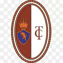 都灵F.C.都灵ACF佛罗伦萨尤文图斯有限公司。意甲足球