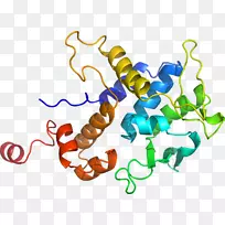 直线点生物动物剪贴画线