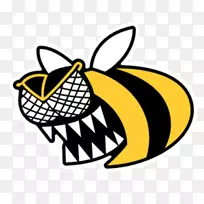 西方蜜蜂非洲蜜蜂叮咬剪贴画-蜜蜂