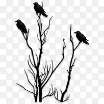 剪影纸模板树-剪影鸟