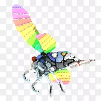昆虫玩具-昆虫
