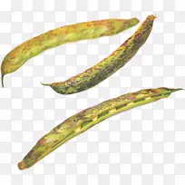 豌豆普通剪贴画-豌豆