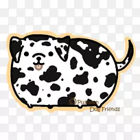 达尔马提亚犬小狗普希恩艺术犬品种-狗和猫
