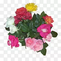 花园玫瑰花束切花花卉图案-3花红色