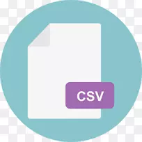计算机图标逗号分隔值xls-csv
