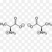 丙氨酸两性离子氨基酸氨基半胱氨酸氨基酸