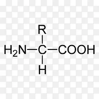 脂肪酸饱和脂肪氨基酸分子氨基酸