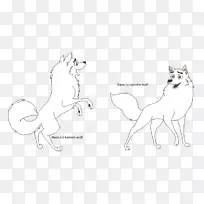 猫狗骆驼包动物素描-哈士奇狗