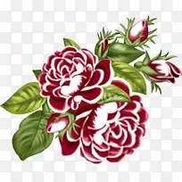 花园玫瑰，花束设计，切花-花