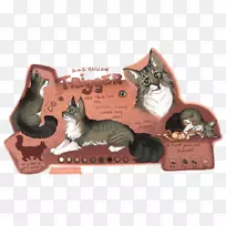 小猫须爪动物-小猫