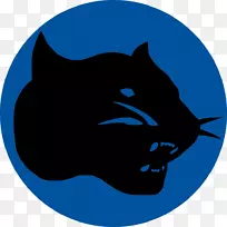 胡须猫鼻子夹艺术猫