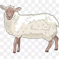 巴巴里羊牛角羊