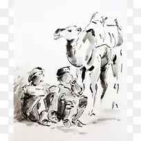 骆驼鸟摄影素描-骆驼