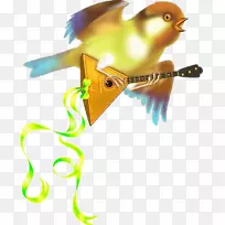 喙羽尾羽